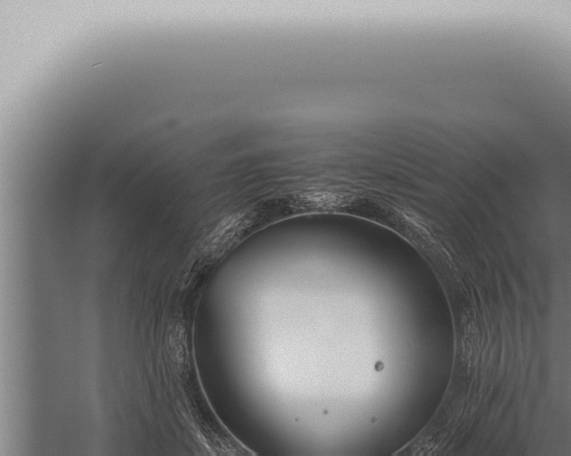 X0000059830459200510281802