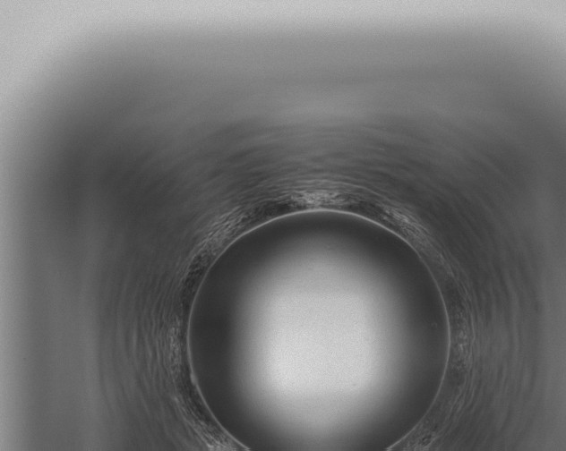 X0000059830461200510281802