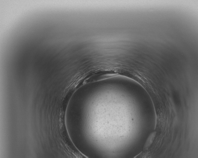 X0000059830462200510281802