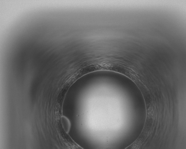 X0000059830464200510281802