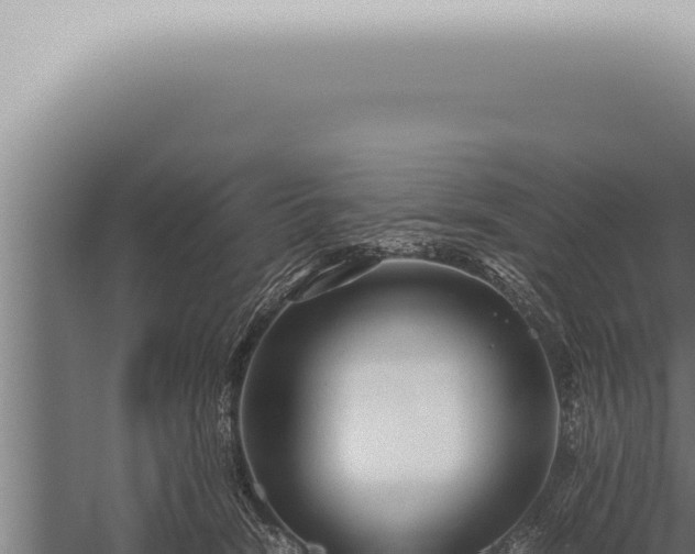 X0000059830466200510281802