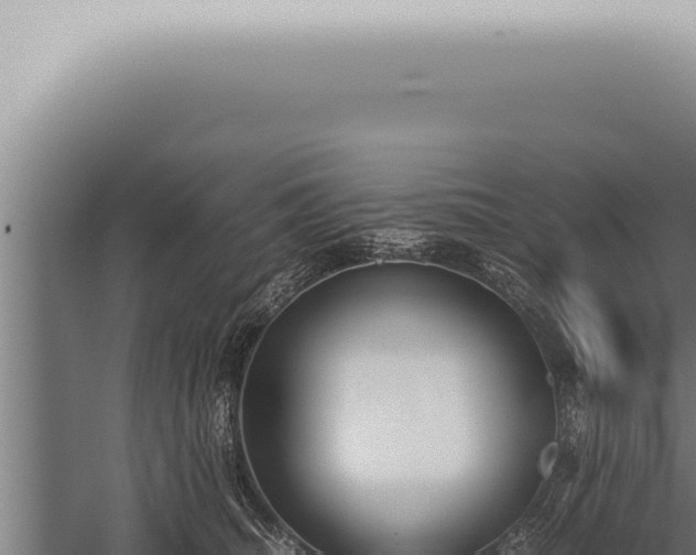 X0000059830468200510281802