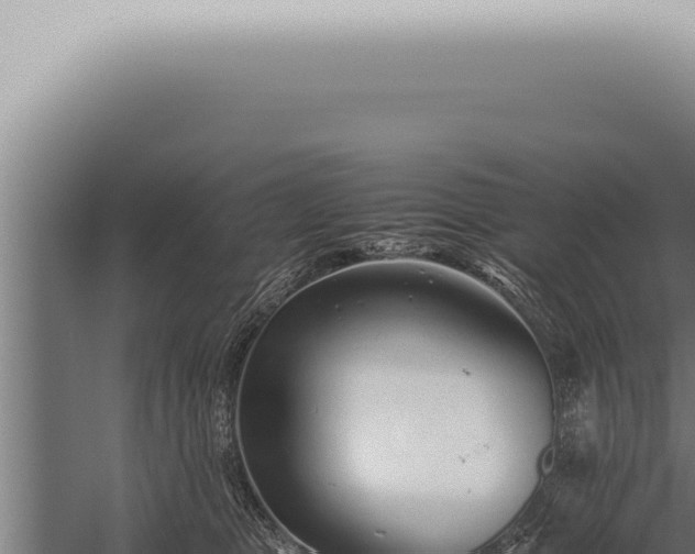 X0000059830469200510281802