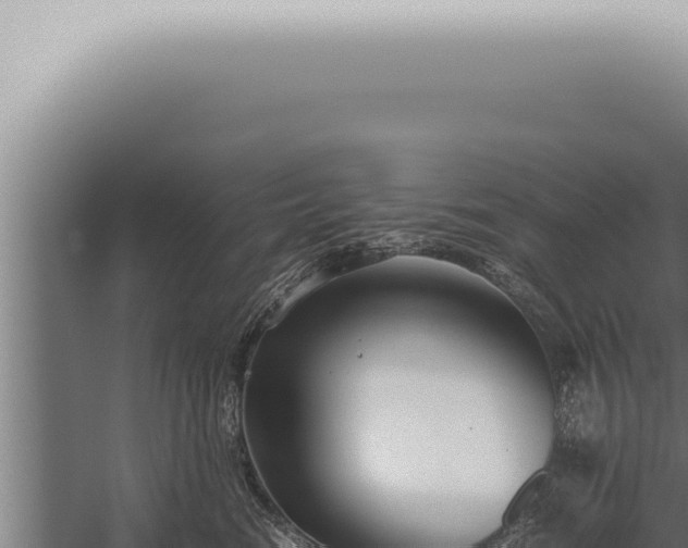 X0000059830474200510281802