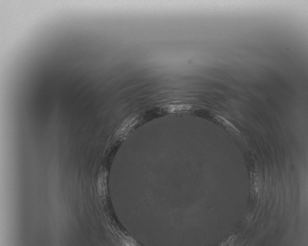 X0000059830475200510281802