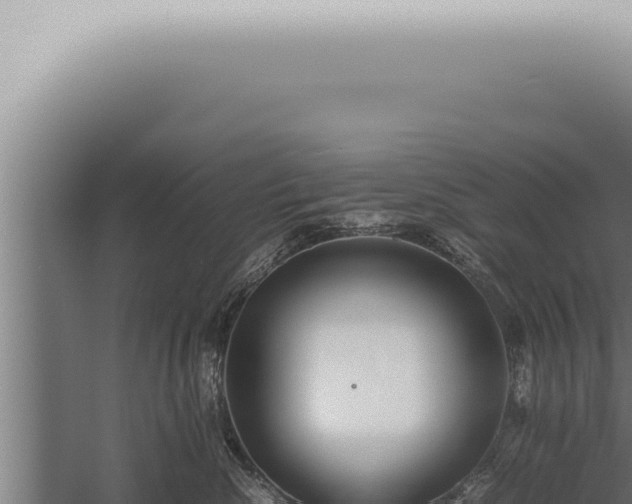 X0000059830476200510281802