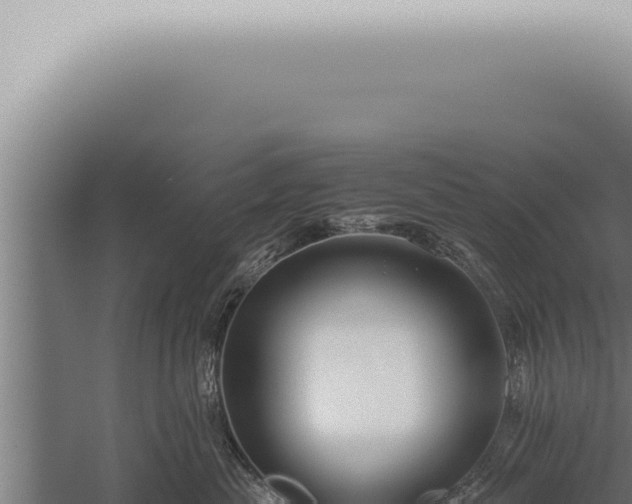 X0000059830477200510281802