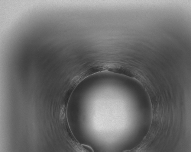 X0000059830478200510281802