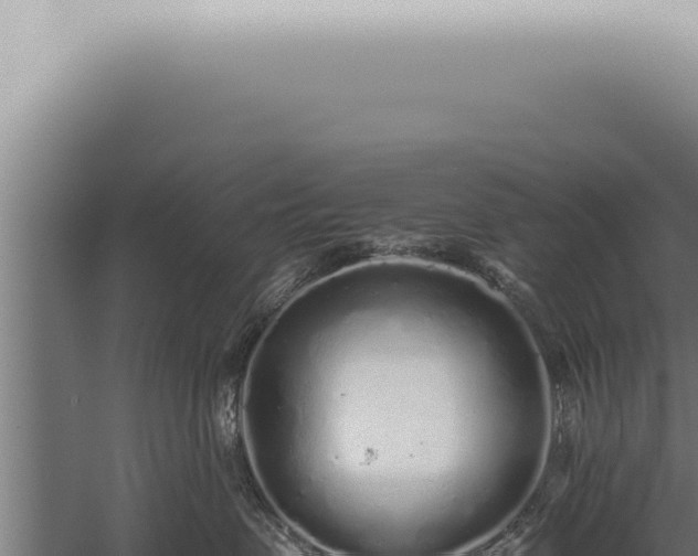 X0000059830479200510281802