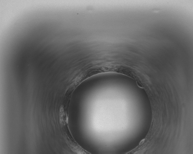 X0000059830480200510281802