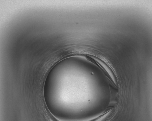 X0000059830481200510281802