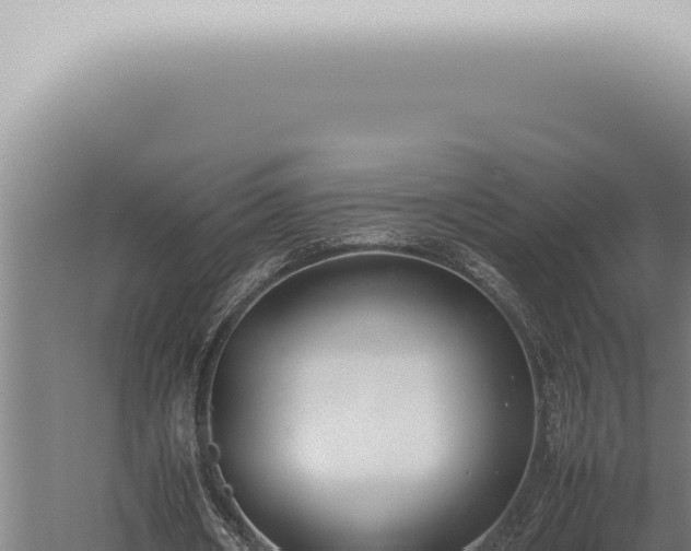 X0000059830482200510281802