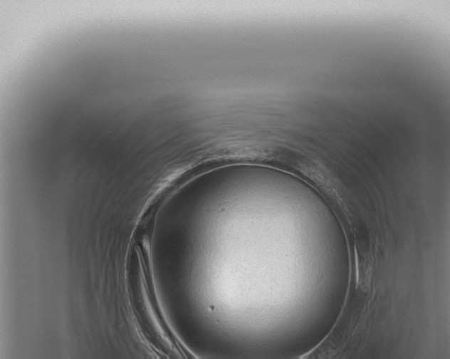 X0000059830483200510281802