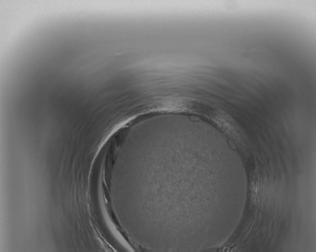 X0000059830484200510281802