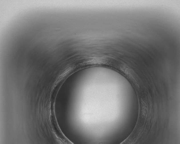 X0000059830486200510281801