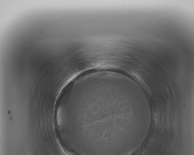 X0000059830488200510281801