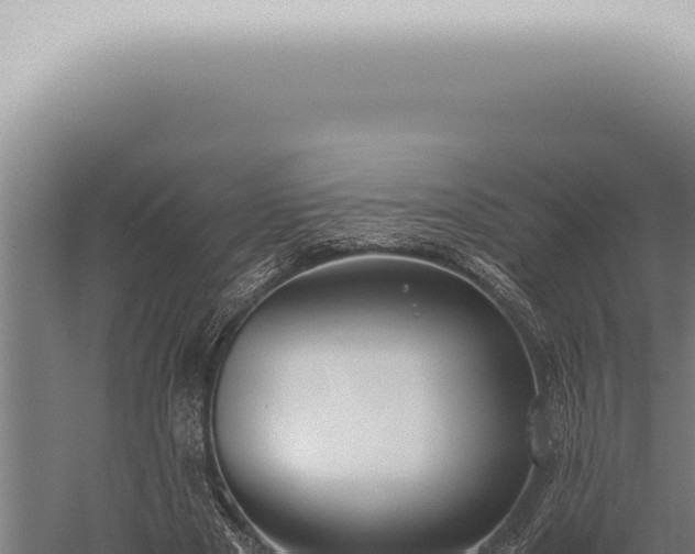 X0000059830489200510281801