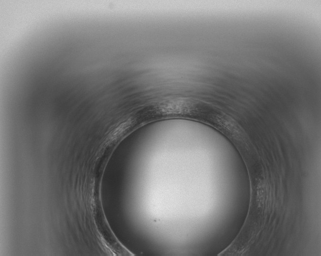 X0000059830490200510281801