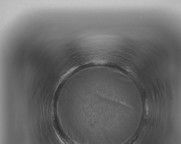 X0000059830492200510281801