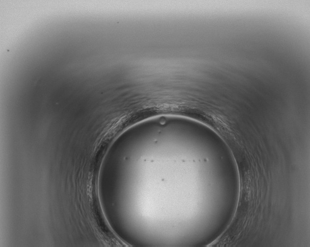 X0000059830495200510281801