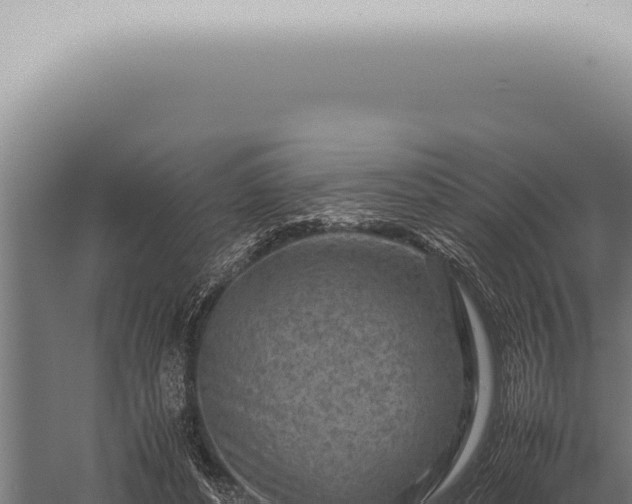 X0000059830496200510281801