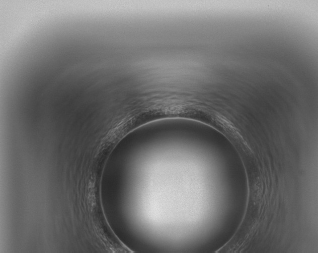 X0000059830497200510281801