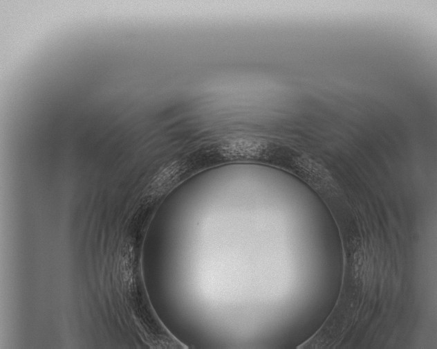 X0000059830498200510281801