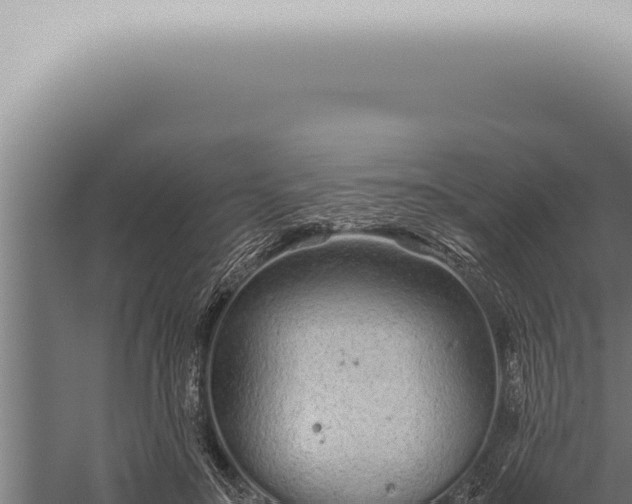 X0000059830499200510281801