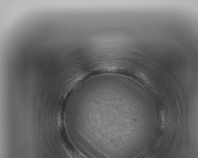 X0000059830500200510281801