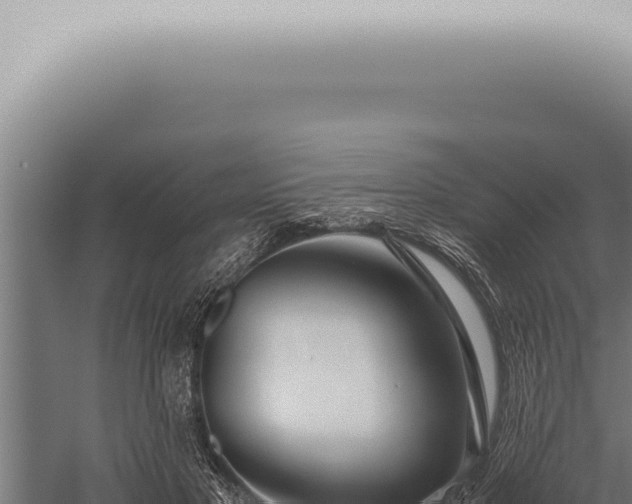 X0000059830501200510281801