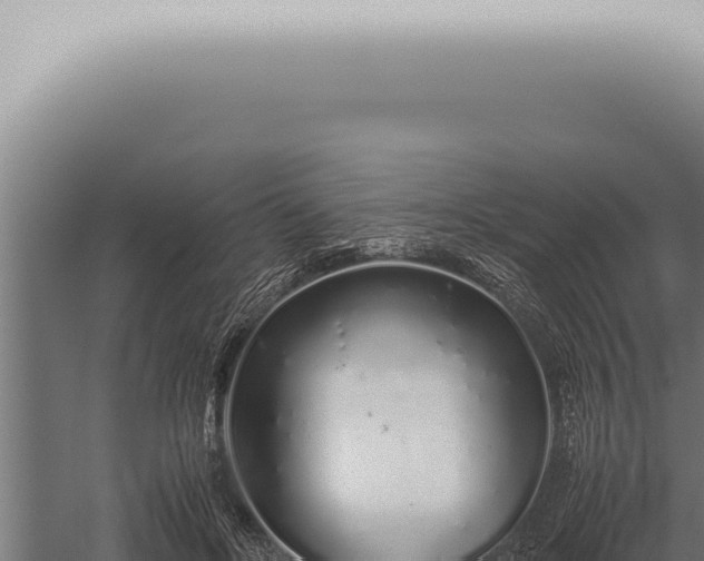 X0000059830502200510281801