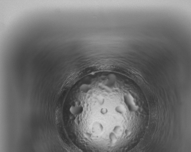 X0000059830503200510281801