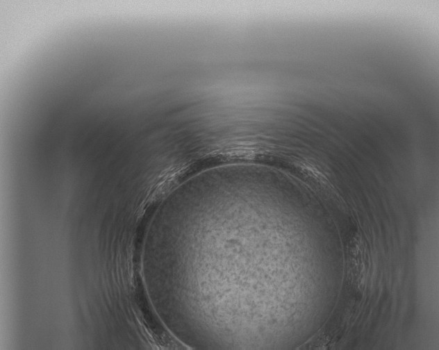 X0000059830504200510281801