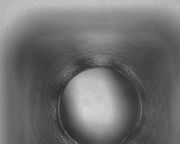 X0000059830505200510281801