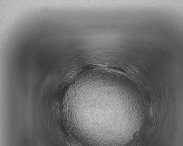 X0000059830507200510281801