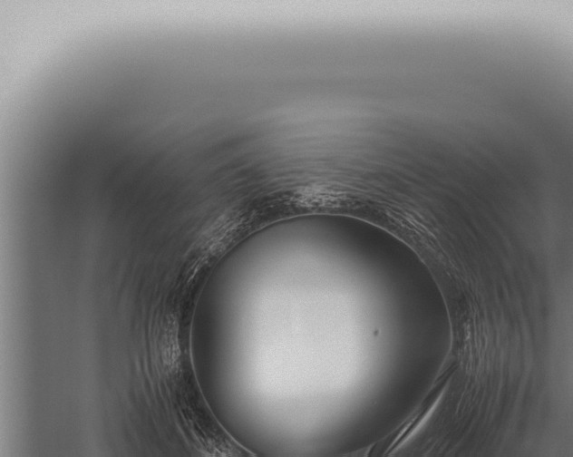 X0000059830508200510281801