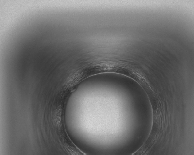 X0000059830509200510281801