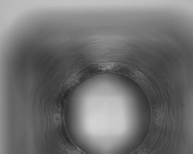 X0000059830510200510281801