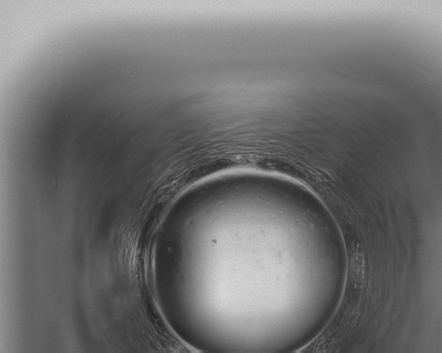 X0000059830511200510281801