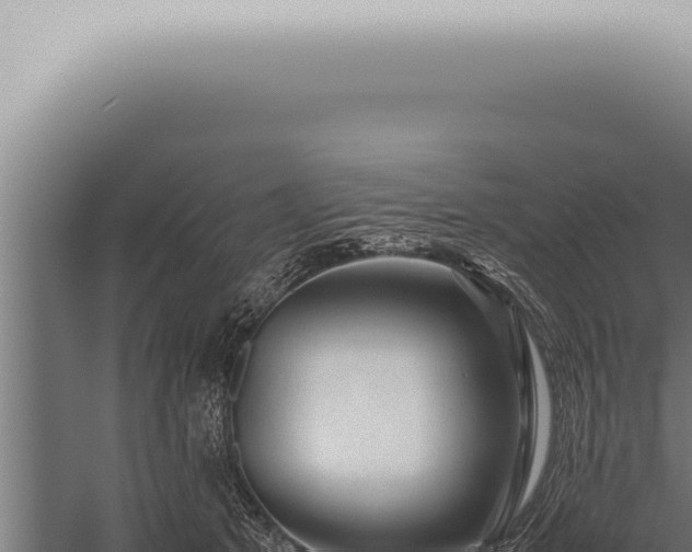 X0000059830513200510281801