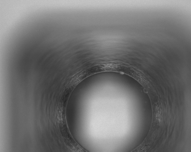 X0000059830514200510281801