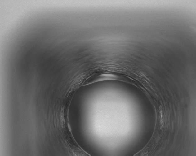 X0000059830516200510281801