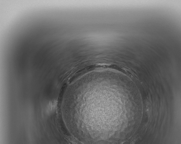 X0000059830519200510281801