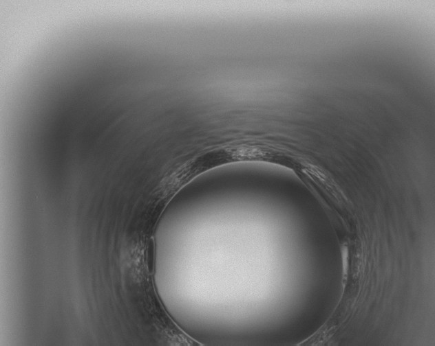 X0000059830521200510281801