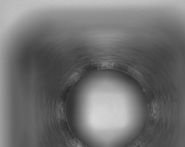 X0000059830522200510281801