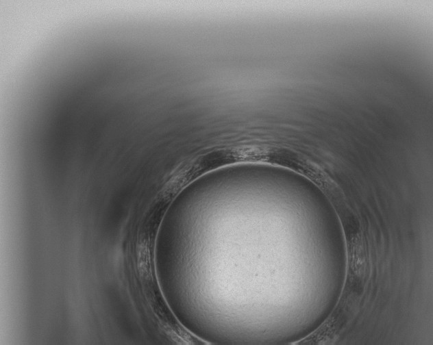 X0000059830523200510281801