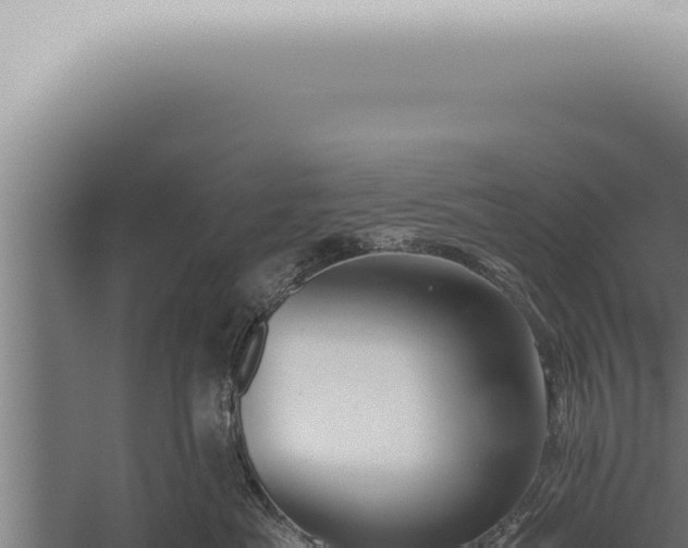 X0000059830525200510281801