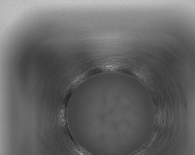 X0000059830526200510281801