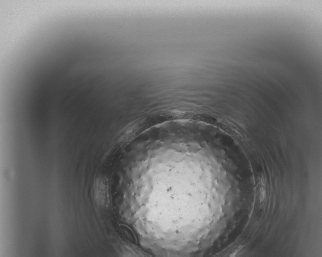 X0000059830527200510281801