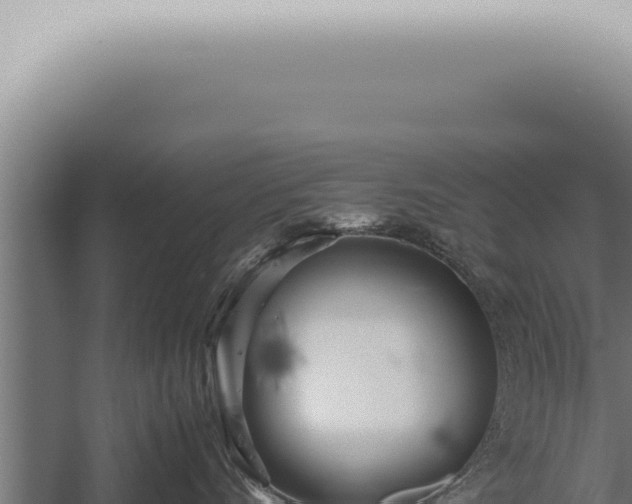 X0000059830528200510281801